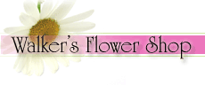 Walker's Flower Shop, your online South Dakota florist in Huron, SD.