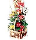 FTD Rose Sympathy Basket