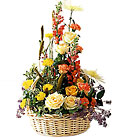 FTD Sunshine Splendor Arrangement