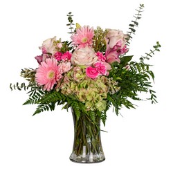 Happy Hydrangea from Walker's Flower Shop in Huron, SD