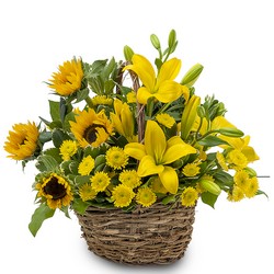 Basket of Sunshine from Walker's Flower Shop in Huron, SD