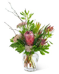 Posh Protea from Walker's Flower Shop in Huron, SD