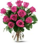 12 Hot Pink Roses 
