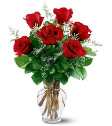 6 Red Roses 