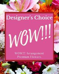 Designer's Choice - WOW! from Walker's Flower Shop in Huron, SD