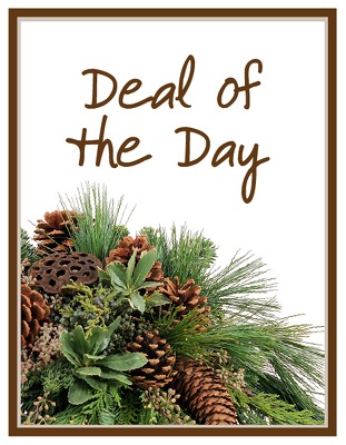 Deal of the Day - Winter from Walker's Flower Shop in Huron, SD