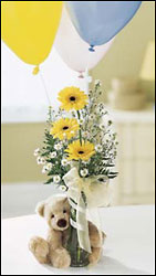 FTD Welcome Bear Bouquet from Walker's Flower Shop in Huron, SD