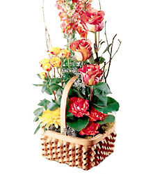 FTD Rose Sympathy Basket from Walker's Flower Shop in Huron, SD