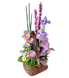 FTD Sweet Peace Basket from Walker's Flower Shop in Huron, SD