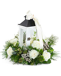Illuminated with Wonder from Walker's Flower Shop in Huron, SD