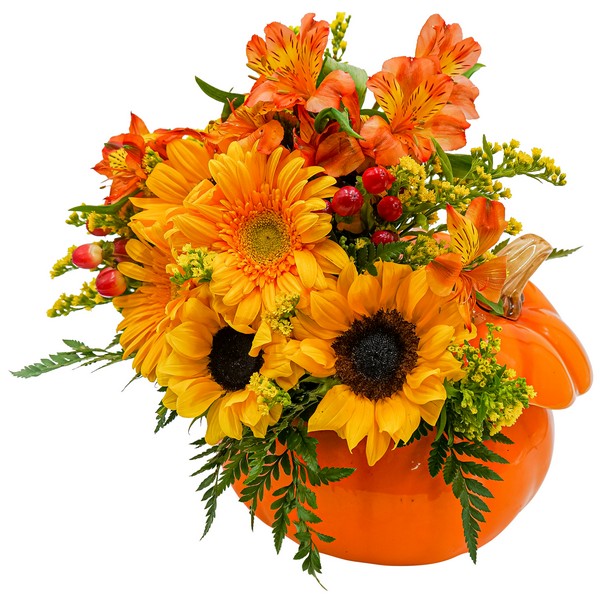 Pumpkin  Daze from Walker's Flower Shop in Huron, SD