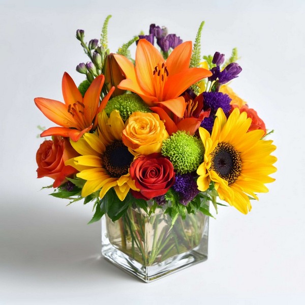 Color Me Cozy from Walker's Flower Shop in Huron, SD