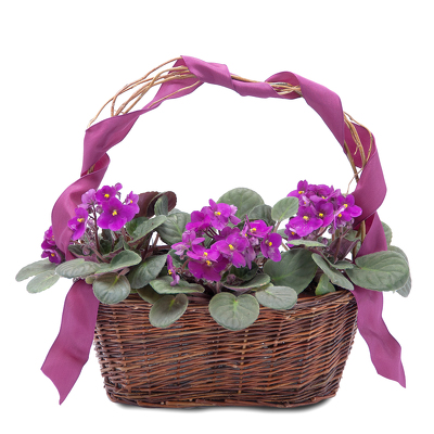 Very Violet Basket from Walker's Flower Shop in Huron, SD