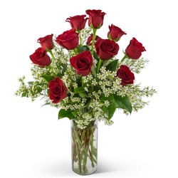 Swoon Over Me Dozen Red Roses from Walker's Flower Shop in Huron, SD