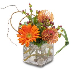 Orange Rocks from Walker's Flower Shop in Huron, SD