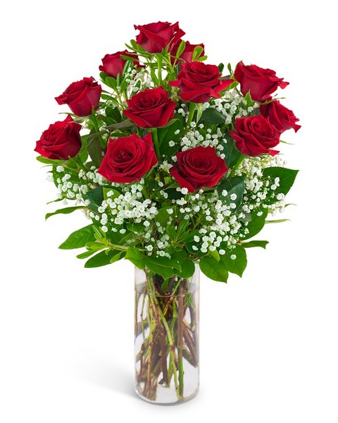 Dozen Red Roses and a Million Stars from Walker's Flower Shop in Huron, SD