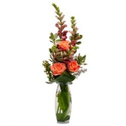 Trio of Orange from Walker's Flower Shop in Huron, SD