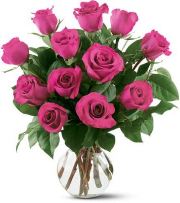 12 Hot Pink Roses from Walker's Flower Shop in Huron, SD