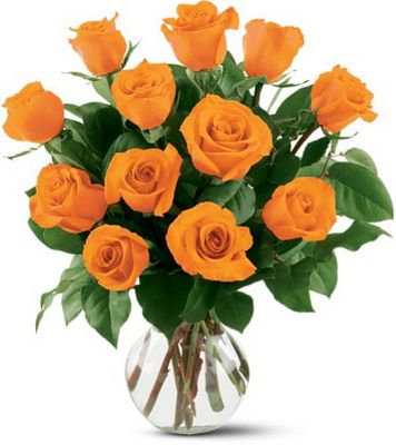 12 Orange Roses from Walker's Flower Shop in Huron, SD 12 Orange Roses from Walker's Flower Shop in Huron, SD