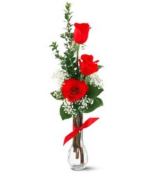 3 Red Roses from Walker's Flower Shop in Huron, SD