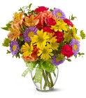 Make a Wish from Walker's Flower Shop in Huron, SD