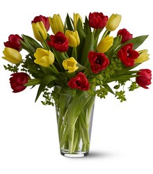 Dutch DelightDutch Delight from Walker's Flower Shop in Huron, SD