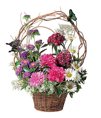 Touch of Butterflies from Walker's Flower Shop in Huron, SD