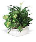 Medium Dish Garden from Walker's Flower Shop in Huron, SD