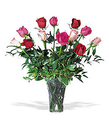A Dozen Multi-colored Roses from Walker's Flower Shop in Huron, SD
